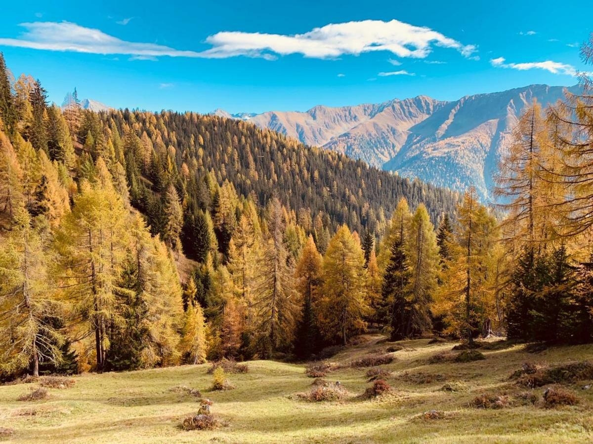 Villa Tgesa Ferrera Schmitten  Esterno foto
